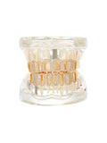 Grillz Hip-Hop Rock Hip Hop Singer Braces Real Gold Plated Hollow Teeth Filled with Diamonds Cross Border HIPHOP Braces Halloween Hip Hop Ornaments